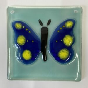Glaskakkel blå sommerfugl